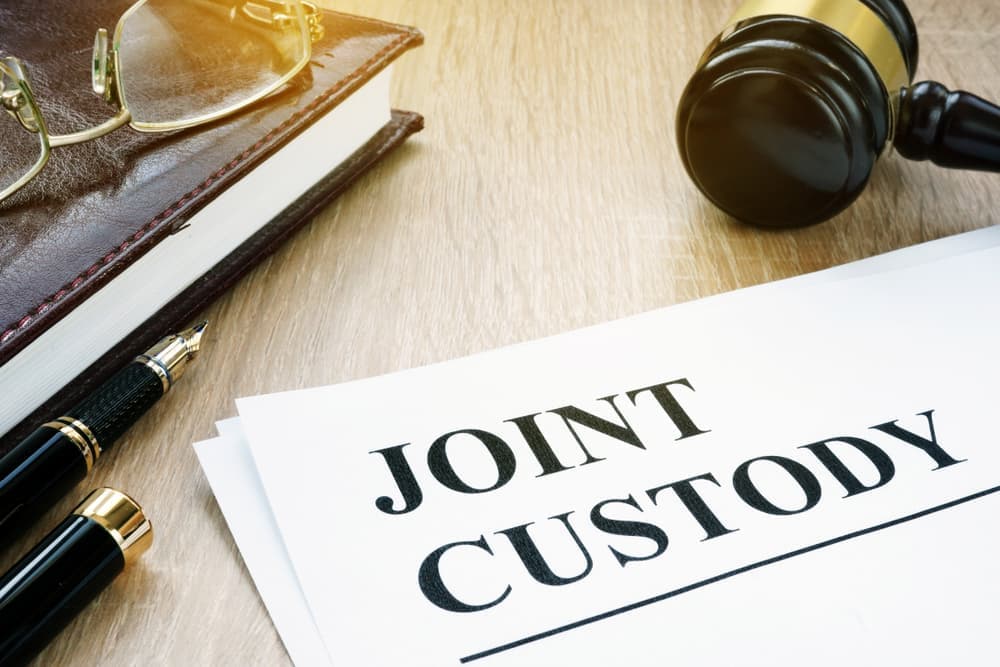 Joint custody advice deals